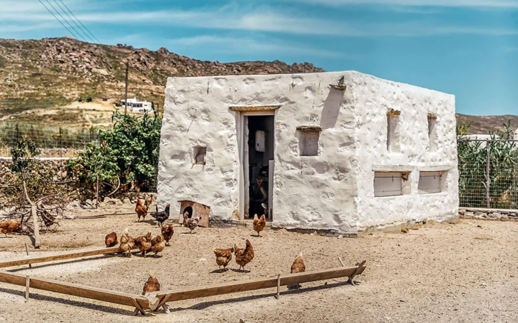 Rizes farm, a local experience near Mykonos town